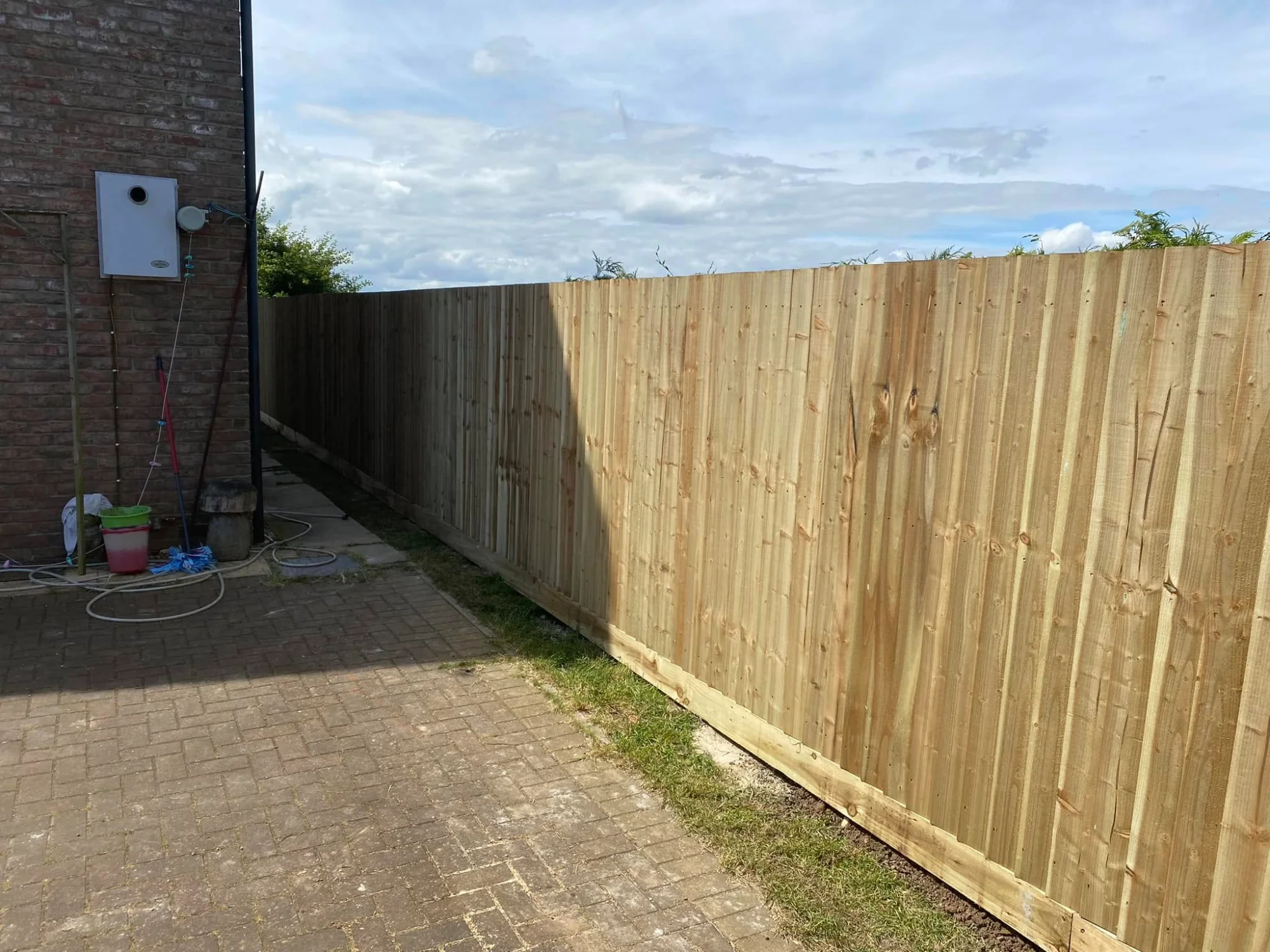 Raised garden bed with timber border and olive trees